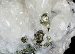 Calcite and Pyrite Crystal Association - Morocco #61433-1